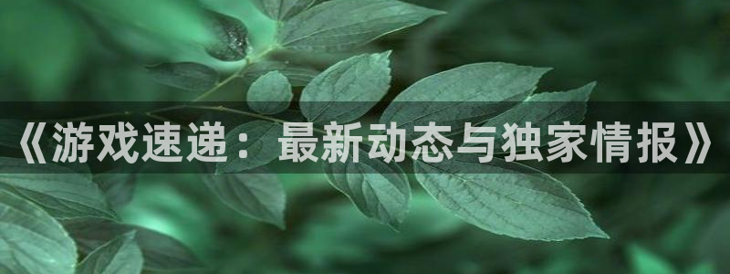 奇亿娱乐在线登录：《游戏速递：最新动态与独家情报》