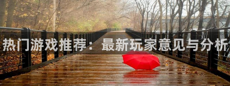 奇亿娱乐主管：热门游戏推荐：最新玩家意见与分析