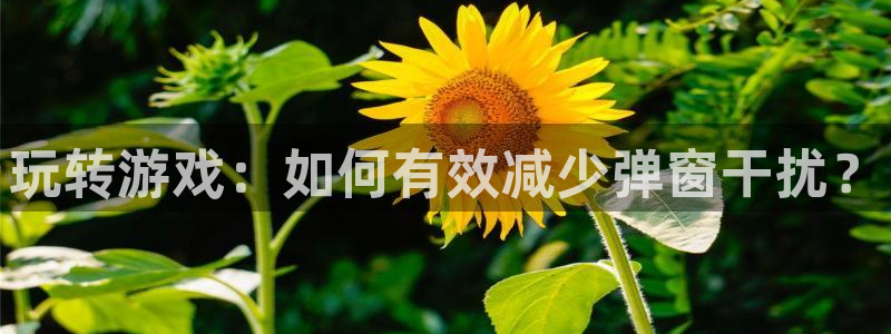 奇亿娱乐平台负责人：玩转游戏：如何有效减少弹窗干扰？