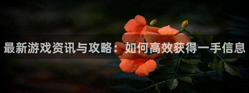 奇亿娱乐平台官网注册：最新游戏资讯与攻略：如何高效获得一手信