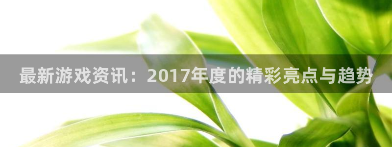 手机版奇亿娱乐客户端下载：最新游戏资讯：2017年度的精彩亮