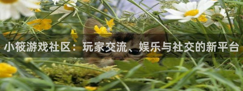 奇亿娱乐Ii：小筱游戏社区：玩家交流、娱乐与社交的新平台