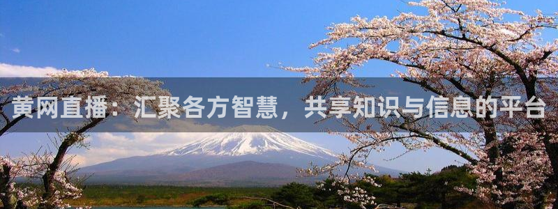 五星劲爆体育在线直播观看