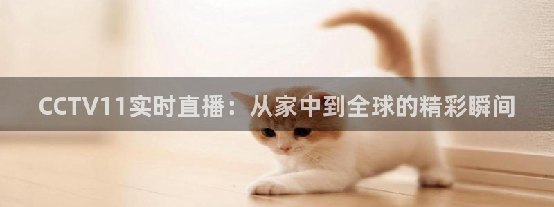 劲爆体育nba直播在线观看免费：CCTV11实时直播：从家中到全球的精彩瞬间