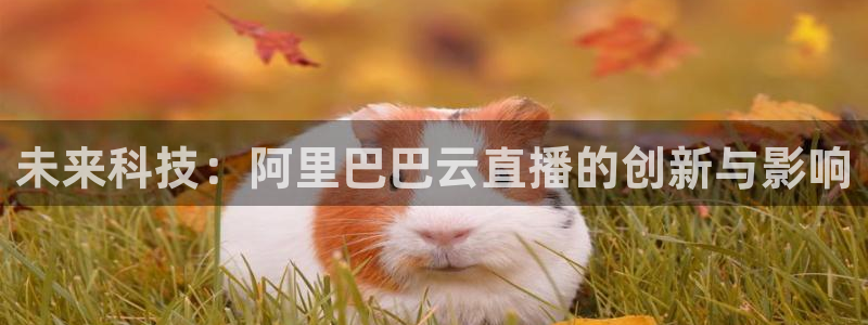 nba劲爆体育在线直播