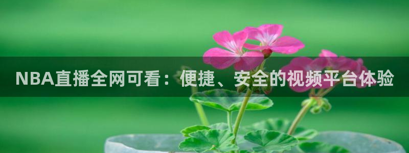 劲爆体育直播高清