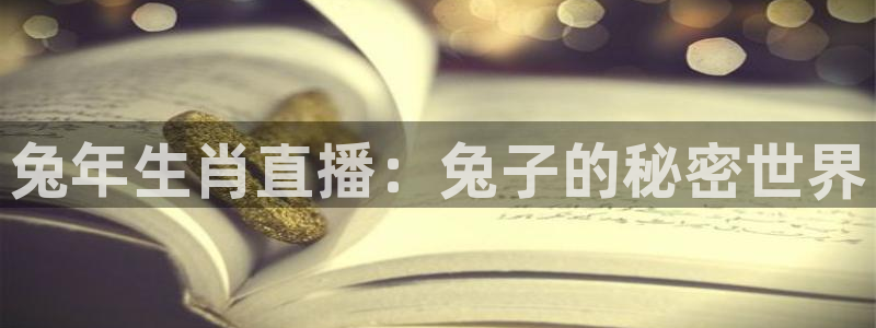 劲爆体育直播在线观看高清