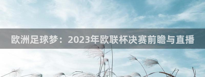劲爆体育nba在线直播播球帝：欧洲足球梦：2023年欧联杯决赛前瞻与直播