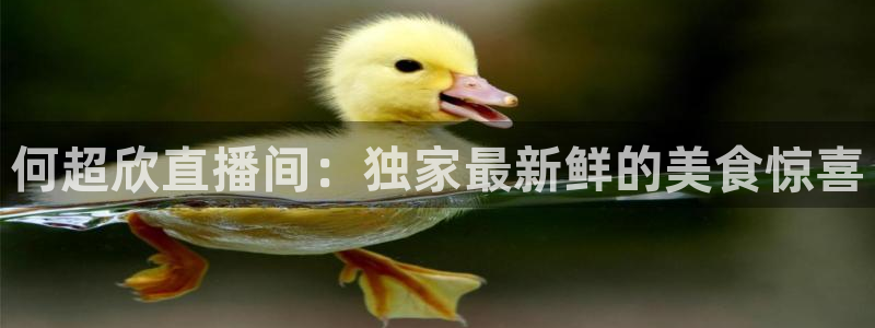 劲爆体育nba直播在线观看：何超欣直播间：独家最新鲜的美食惊喜