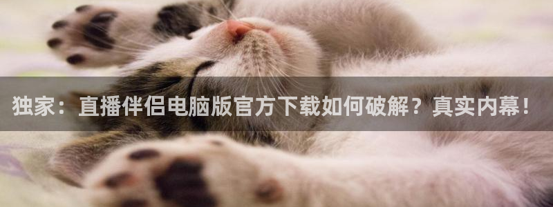 劲爆体育直播观看：独家：直播伴侣电脑版官方下载如何破解？真实内幕！
