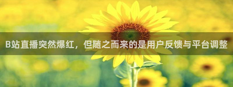 劲爆体育免费直播nba新的好游戏.认证网.org：B站直播突然爆红，但随之而来的是用户反馈与平台调整