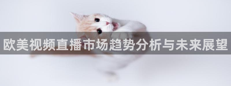 劲爆体育免费观看：欧美视频直播市场趋势分析与未来展望