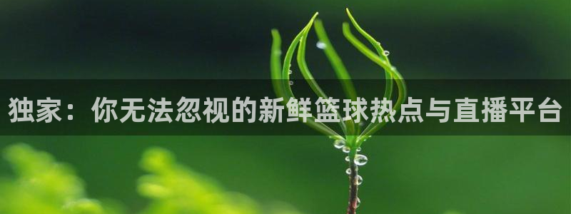 劲爆体育在线直播nba高清：独家：你无法忽视的新鲜篮球热点与直播平台